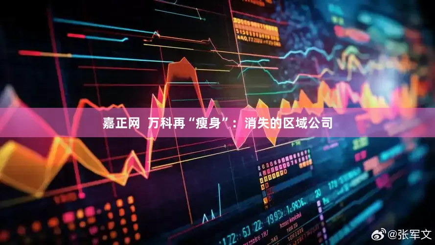 嘉正网  万科再“瘦身”：消失的区域公司