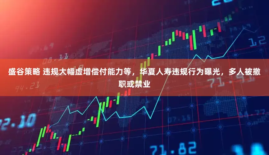 盛谷策略 违规大幅虚增偿付能力等，华夏人寿违规行为曝光，多人被撤职或禁业