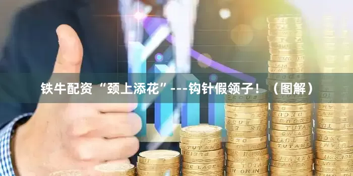 铁牛配资 “颈上添花”---钩针假领子！（图解）