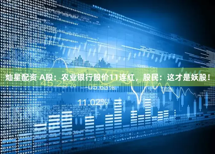 灿星配资 A股：农业银行股价11连红，股民：这才是妖股！