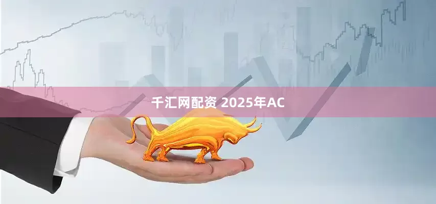 千汇网配资 2025年AC