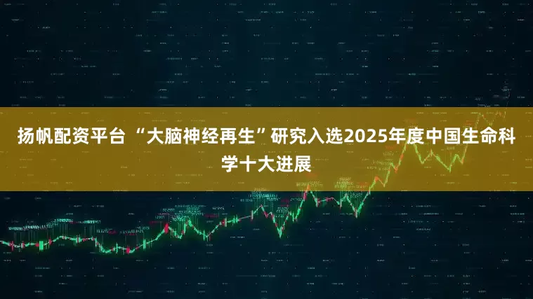 扬帆配资平台 “大脑神经再生”研究入选2025年度中国生命科学十大进展